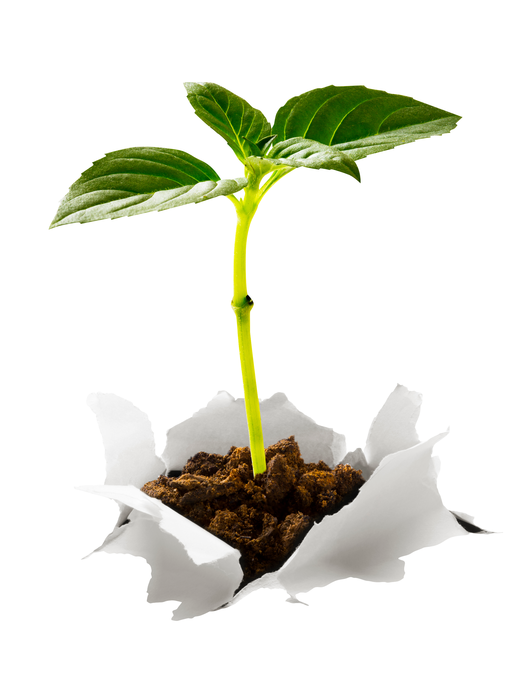 Caring for our Environment page image_DE_TEST2